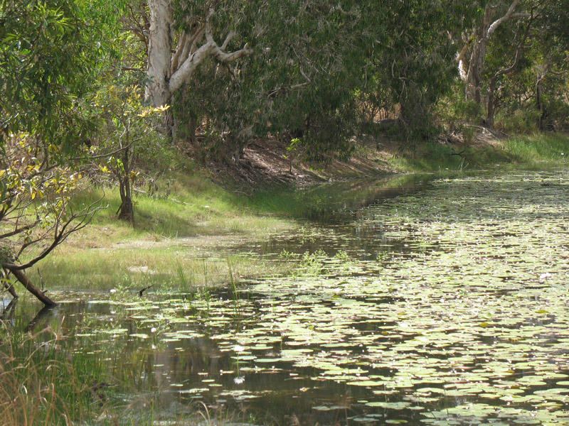 Lakefield National Park - Walkabout